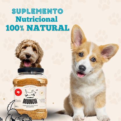 Suplemento Nutricional | Munch 200gr